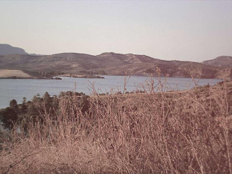 Image - Skifir