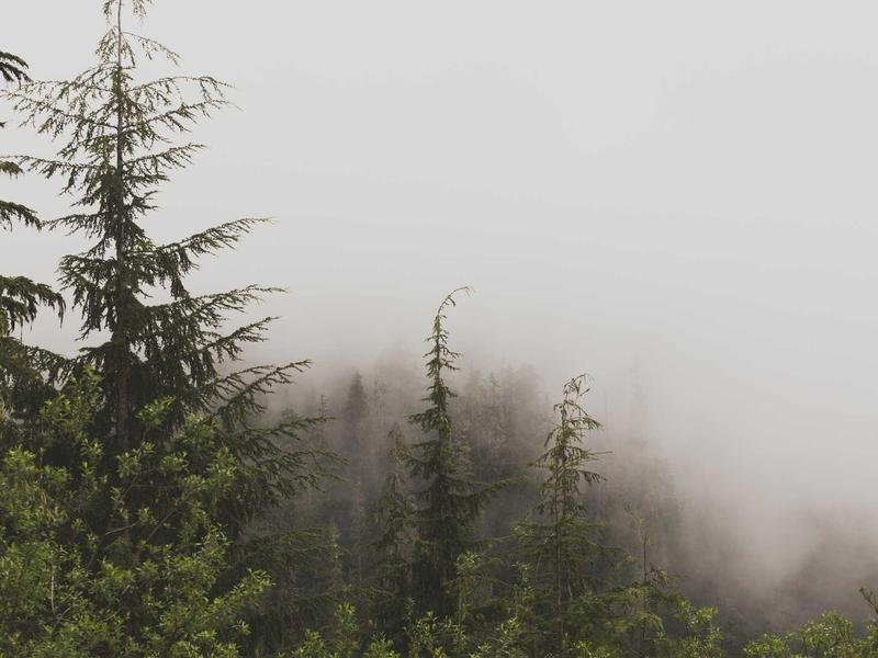 Image - Skifir
