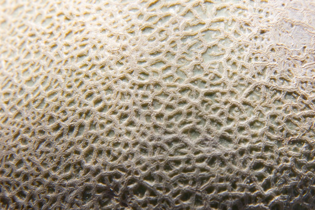 unsplash kw31 1788104786